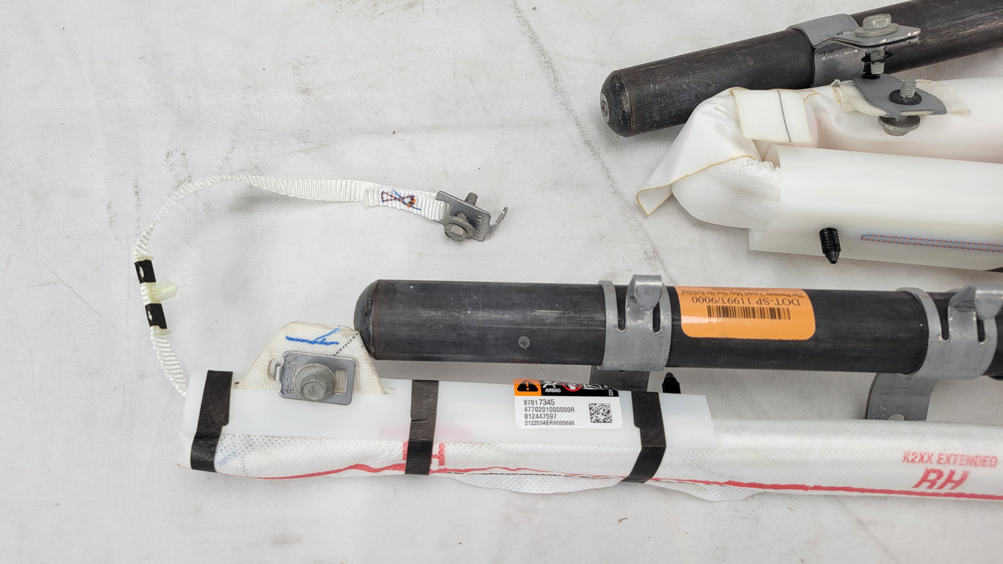 2014-2018 Silverado Sierra 1500 OEM Side Curtain Airbags Left & Right 87817343