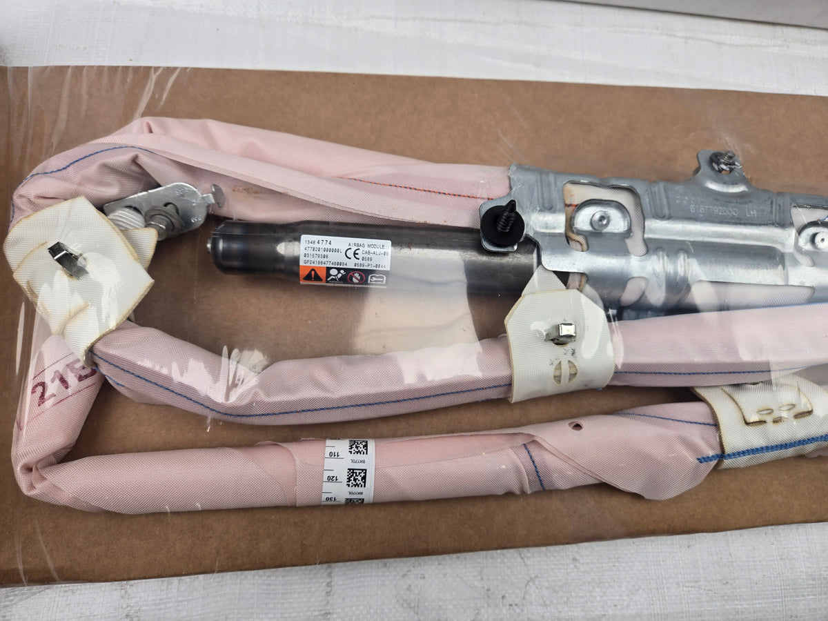 NEW GM OEM 2011-2016 Cruze Left Roof Rail Curtain Airbag 13484774